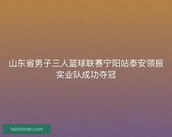 山东省男子三人篮球联赛宁阳站泰安领振实业队成功夺冠